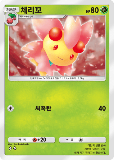 체리꼬